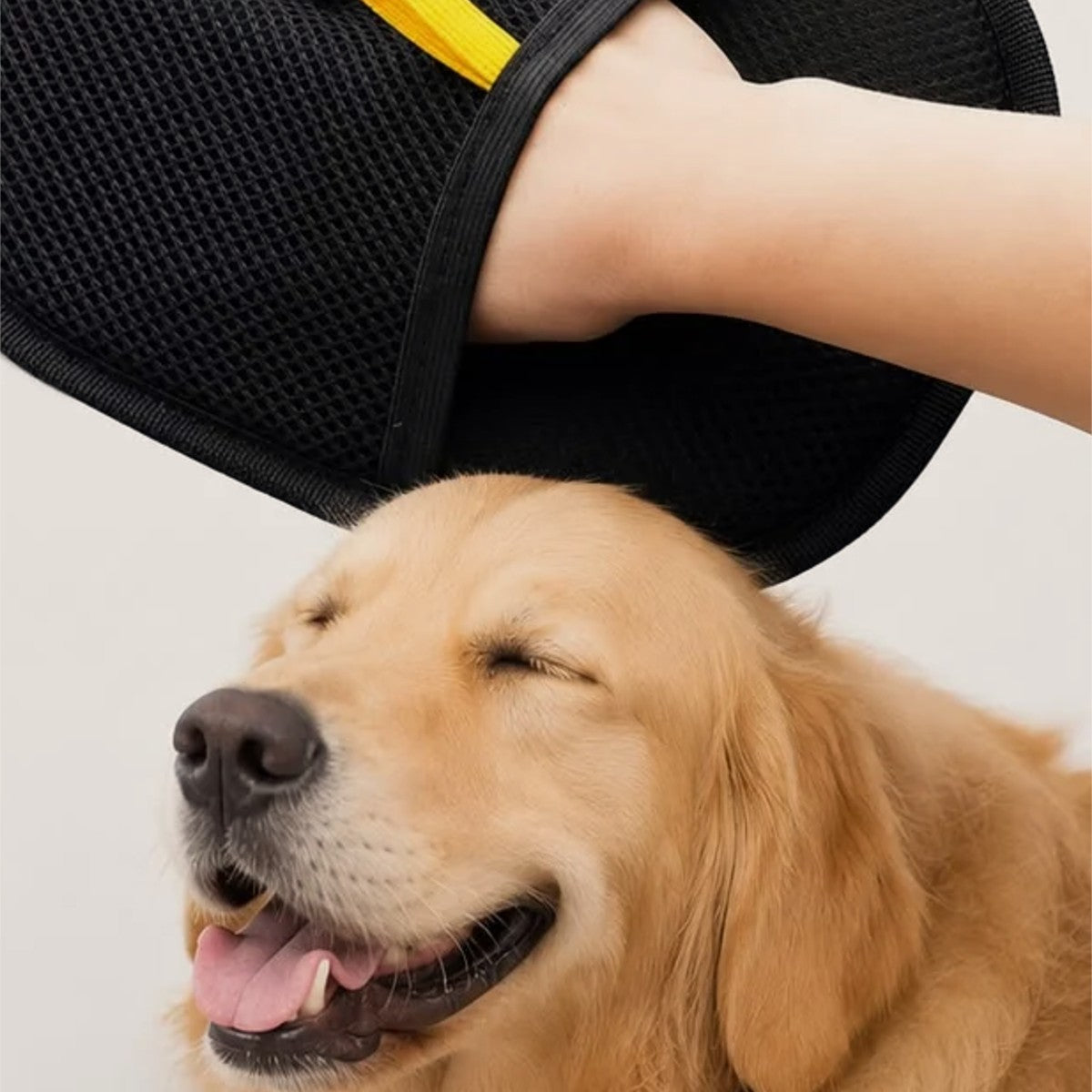 Guante quitapelos usado en un perro